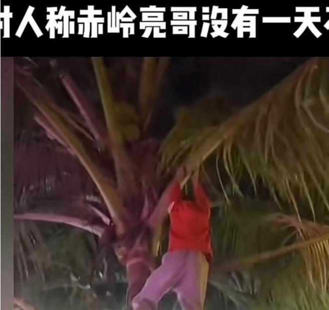 家不挨打学校照片曝光：生活潇洒滋润开元棋牌网站漂流小孩仍不老实不着(图3)